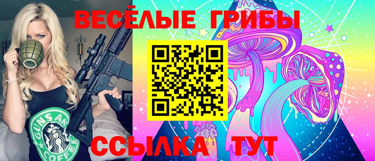 Галлюциногенные грибы мицелий Бийск