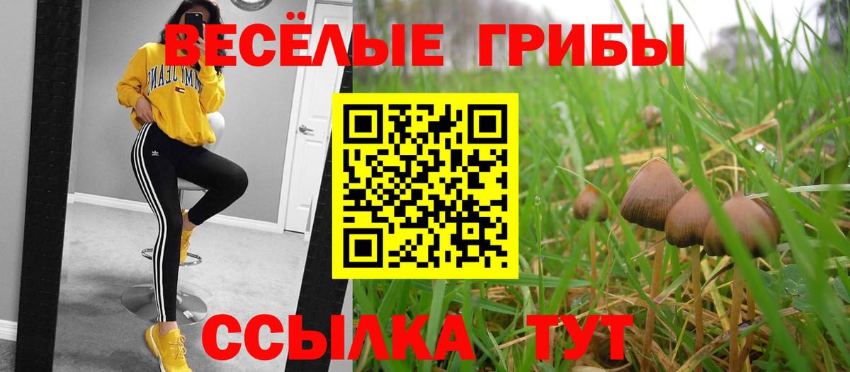 Псилоцибиновые грибы Psilocybe  Галлюциногенные грибы Psilocybine cubensis  Вход с VPN  Бийск 