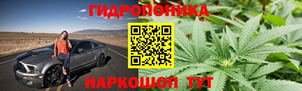 Канабис OG Kush  Канабис конопля  МАРИХУАНА THC 21%  Бийск  Вход с VPN  МАРИХУАНА марихуана 